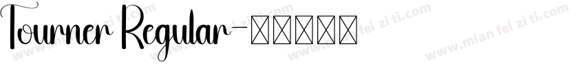 Tourner Regular字体转换
